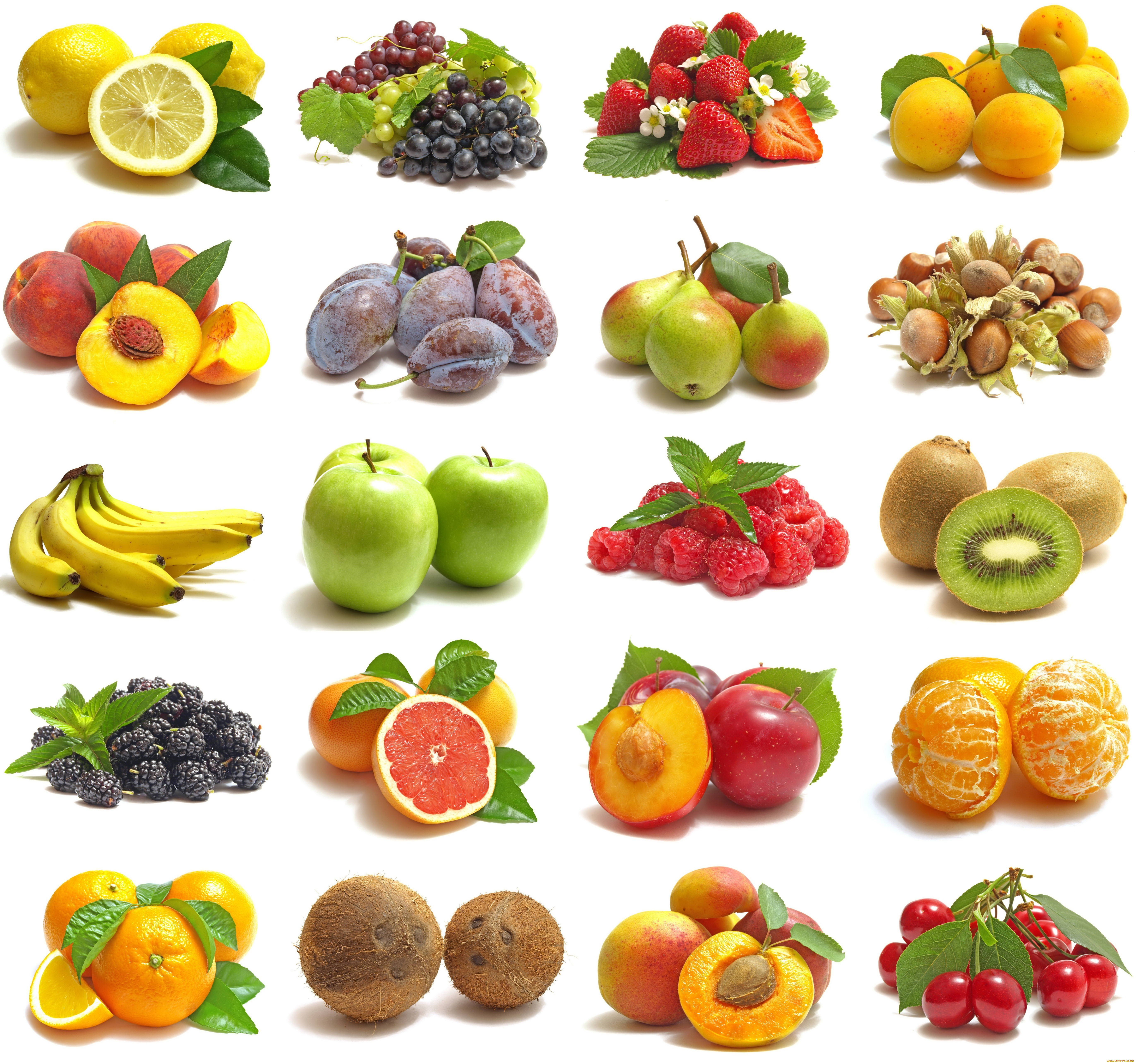 еда, разное, орехи, разрез, продукты, белый, фон, фрукты, ягоды, коллаж, ба...